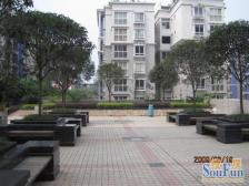 人民广场 金色大地四房