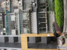 康居苑 2室1厅 北