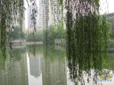 凤天路 康居苑二房47万