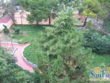 满五 带电梯 精装修 房东诚意出售 看房方便