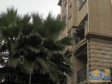 品质小区,环境优美,诚意出售,精装好房