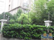 新华路标杆楼盘特安静 5米超大横客厅 朝南看小区绿化