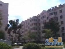 新挂牌地铁口中间楼层3房+宝龙边上+价格能谈