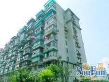 徐汇滨江必卖好房 楼层位置俱佳 诚意卖 交通便利