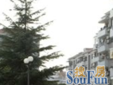 红春一公寓 1室1厅 南