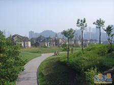 汽博中心 保利国际高尔夫花园五房3300万