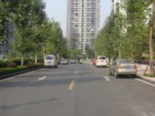 人和 爱琴庄园四房150万