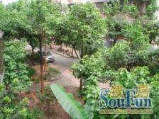 花卉园 新城花园住宅楼二房46万