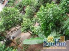 花卉园 新城花园住宅楼二房45万