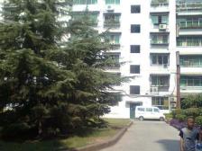 此房楼梯房,出行方便,楼层好格局好,居家清净