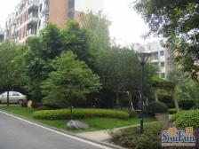 汽博中心 奥林匹克花园三期(雅典海岸)三房185万