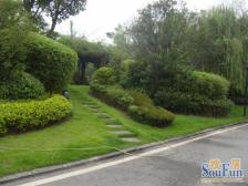 一线看湖看公园上叠别墅 带双车位带地下室带屋顶大花园带露台