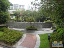 顶跃南北通透户型,精装修,屋顶 大露台