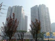 鱼洞 一城龙洲三房63.8万