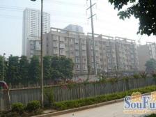 鱼洞 一城龙洲二房40万