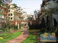 好望山精装一楼带花园 花园130平米