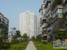 鱼洞 一城龙洲三房51万