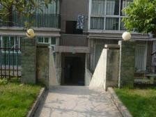 鱼洞 一城龙洲七房