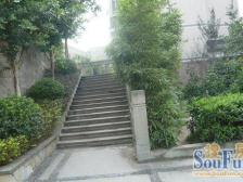 鱼洞 一城龙洲三房50.6万