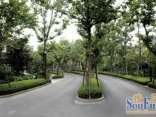 蓝湖郡西岸精装联排端户大花园价格可谈诚意急售