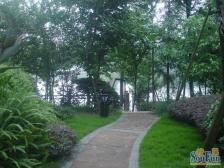 鸳鸯 龙湖蓝湖郡西岸四组团五房978万