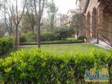 鸳鸯 龙湖蓝湖郡西岸五组团四房750万