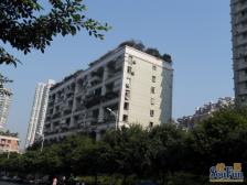 黄泥磅 重百小区三房