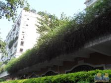 黄泥磅 重百小区三房145万