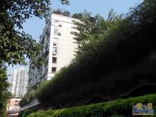 黄泥磅 重百小区二房50万