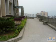 富馨苑 3室2厅 东南