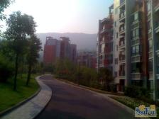 缙云山下电梯精装大四房,业主诚意出售,