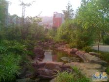 房满2年,税费低,小区成熟环境好,近嘉陵步行街