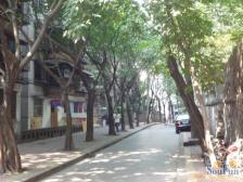 房子出行方便,楼层好,平街一楼位置好