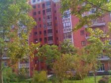 城南缙云小区区电梯房住家安静出行方便