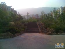 缙云小区A区 4室1厅 东南