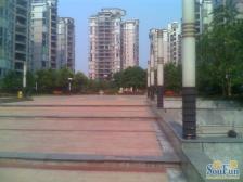 业主重新装修 春节前可以看房