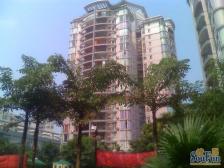 城南步行街旁 电梯房 单价仅七千多点