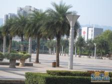 人民广场 天秀锦地二房46万