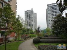 房子位置好,出行生活方便,,采光视野开阔..