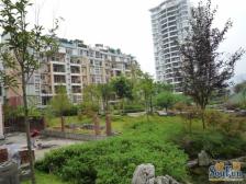 城北新区 云景华庭三房67万