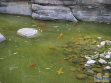 老城区 海屋裕鑫名都二房39万