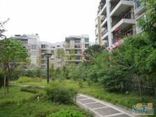 城北新区 云景华庭三房72万