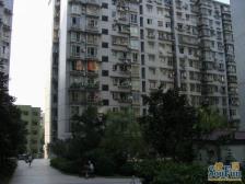 海屋裕鑫名都 2室1厅 东南