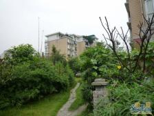 全中庭 位置 视野开阔 业主安心卖 看房方便