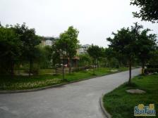 全中庭 位置 视野开阔 业主安心卖 看房方便