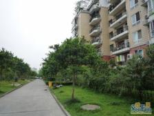 全中庭 位置 视野开阔 业主安心卖 看房方便