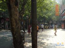 老城区 中山路(北碚区)二房33.9万