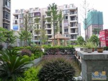 中央美苑 3室2厅 南