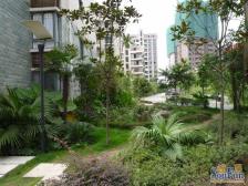 业主 诚意出售,嘉陵步行街精装三房,欢迎看房