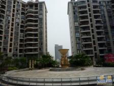 中央美苑 3室1厅 北 东北